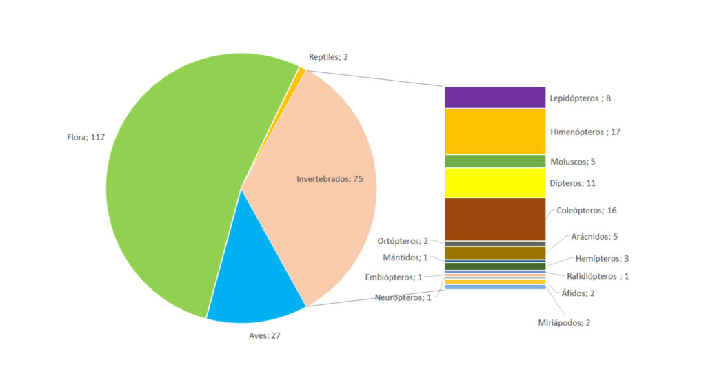 Resultados II bioblizt