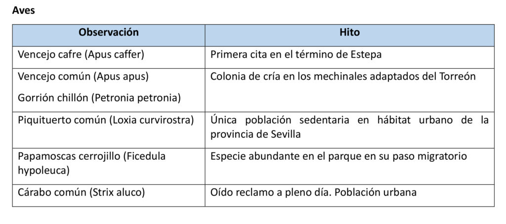 Hitos ornitológicos Estepa