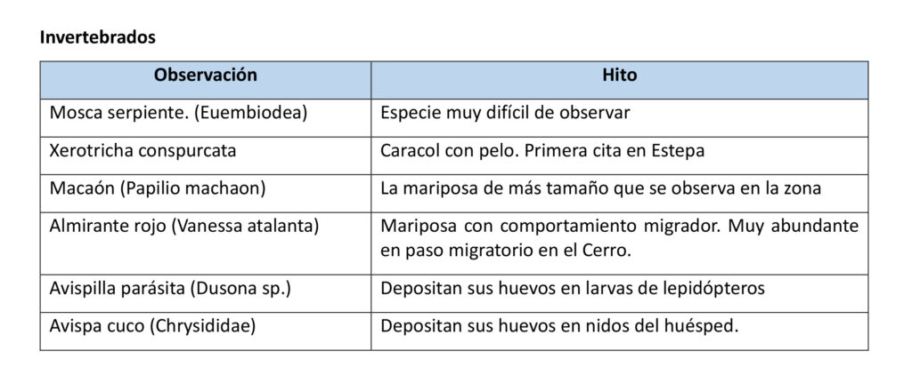 Hitos invertebrados