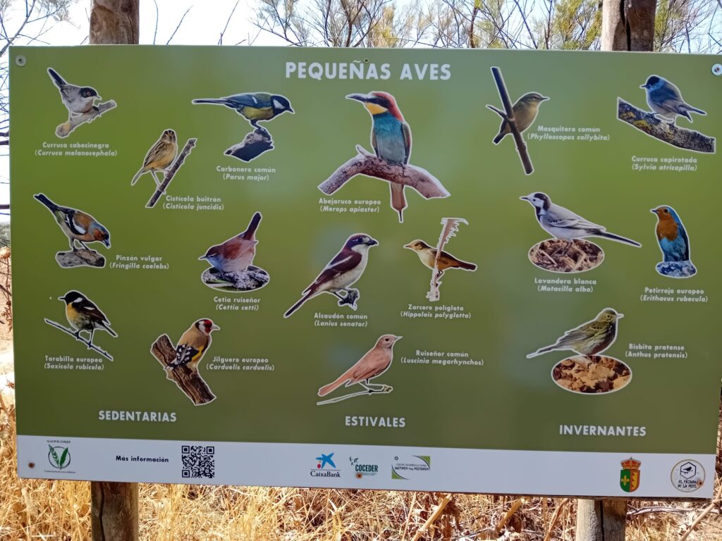  aves en la Laguna del Gosque